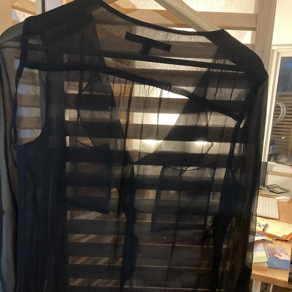 Dora Landa Sheer Black Top